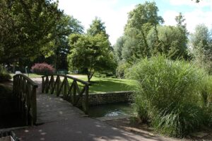 Aménagement de jardins dans le 77