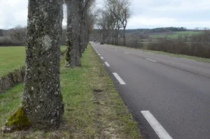 Élagage au bord des routes en Seine et Marne