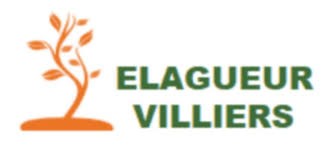 Élagage Villiers 77