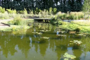 Aménagement de bassins