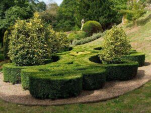 Service professionnel de jardinier à Héricy pour un entretien complet de jardin
